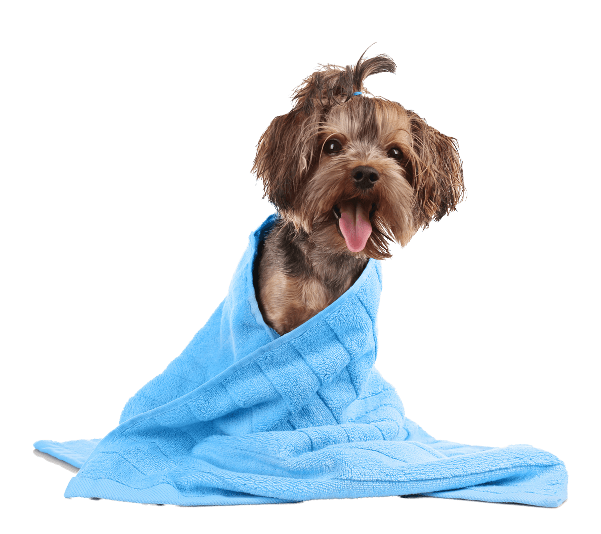 Canyon View Car WashJunctionCOCar & Dog Wash